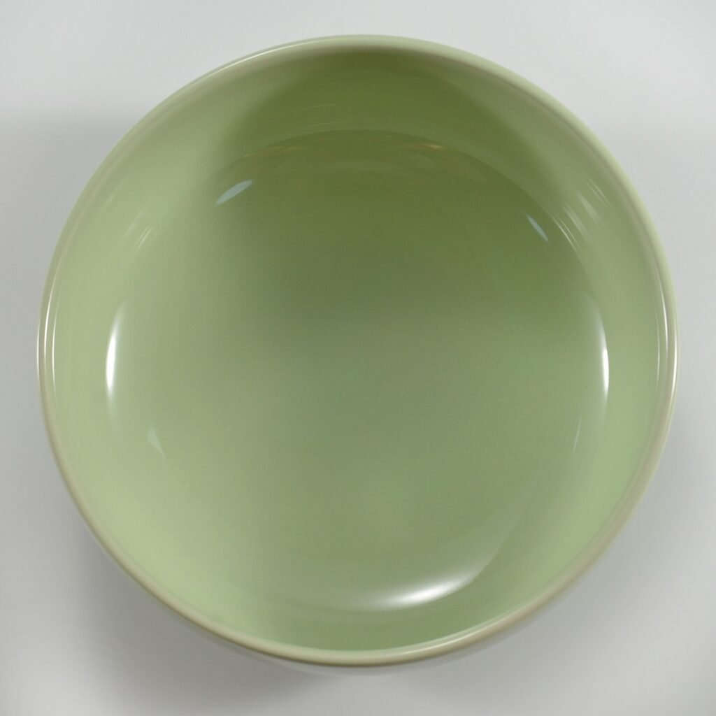 pro19 4